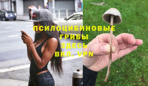 метадон Арсеньев